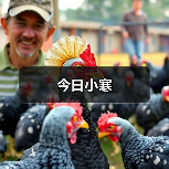 今日小寒（图4）