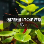 洛阳路通 LTC4F 压路机(图4) 洛阳路通 LTC4F 压路机(图4)