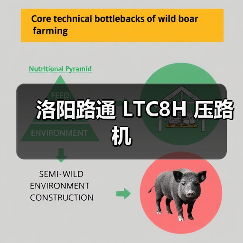 洛阳路通 LTC8H 压路机(图3) 洛阳路通 LTC8H 压路机(图3)