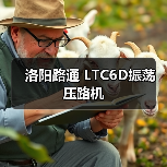 洛阳路通 LTC6D振荡 压路机(图2) 洛阳路通 LTC6D振荡 压路机(图2)