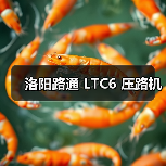 洛阳路通 LTC6 压路机(图2) 洛阳路通 LTC6 压路机(图2)