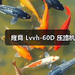隆霄 Lvvh-60D 压路机(图2) 隆霄 Lvvh-60D 压路机(图2)