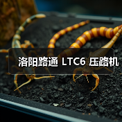 洛阳路通 LTC6 压路机(图4) 洛阳路通 LTC6 压路机(图4)