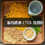 洛阳路通 LTC6 压路机(图3) 洛阳路通 LTC6 压路机(图3)