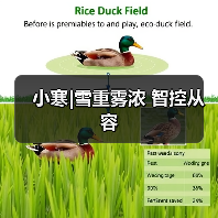小寒|雪重雾浓 智控从容(图4) 小寒|雪重雾浓 智控从容(图4)