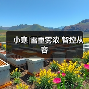 小寒|雪重雾浓 智控从容(图2) 小寒|雪重雾浓 智控从容(图2)