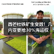 西芒杜铁矿生变数!几内亚要抢30%海运权(图2) 西芒杜铁矿生变数!几内亚要抢30%海运权(图2)
