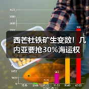 西芒杜铁矿生变数!几内亚要抢30%海运权(图1) 西芒杜铁矿生变数!几内亚要抢30%海运权(图1)