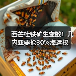 西芒杜铁矿生变数!几内亚要抢30%海运权(图4) 西芒杜铁矿生变数!几内亚要抢30%海运权(图4)