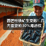 西芒杜铁矿生变数!几内亚要抢30%海运权(图3) 西芒杜铁矿生变数!几内亚要抢30%海运权(图3)