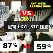 隆霄 LXYL-31C 压路机（图2）