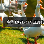 隆霄 LXYL-31C 压路机（图1）