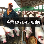 隆霄 LXYL-43 压路机（图4）
