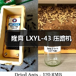 隆霄 LXYL-43 压路机（图3）