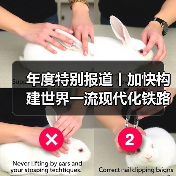 年度特别报道丨加快构建世界一流现代化铁路网(图4) 年度特别报道丨加快构建世界一流现代化铁路网(图4)
