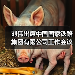 刘伟出席中国国家铁路集团有限公司工作会议并讲话(图4) 刘伟出席中国国家铁路集团有限公司工作会议并讲话(图4)