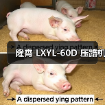 隆霄 LXYL-60D 压路机(图2) 隆霄 LXYL-60D 压路机(图2)