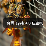 隆霄 Lyvh-60 压路机（图3）