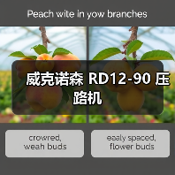 威克诺森 RD12-90 压路机(图2) 威克诺森 RD12-90 压路机(图2)
