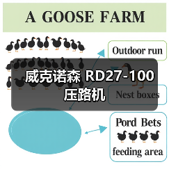 威克诺森 RD27-100 压路机（图2）
