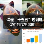 读懂“十五五”规划建议中的民生温度(图3) 读懂“十五五”规划建议中的民生温度(图3)