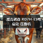威克诺森 RD7H-ES电启动 压路机(图2) 威克诺森 RD7H-ES电启动 压路机(图2)