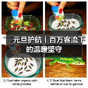 元旦护航丨百万客流下的温暖坚守(图1) 元旦护航丨百万客流下的温暖坚守(图1)
