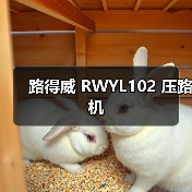 路得威 RWYL102 压路机(图1) 路得威 RWYL102 压路机(图1)