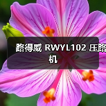 路得威 RWYL102 压路机(图3) 路得威 RWYL102 压路机(图3)
