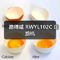 路得威 RWYL102C 压路机（图3）