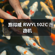 路得威 RWYL102C 压路机（图4）