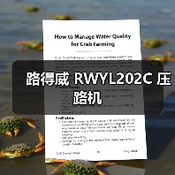 路得威 RWYL202C 压路机（图4）