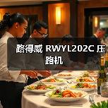 路得威 RWYL202C 压路机（图1）