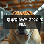 路得威 RWYL202C 压路机（图3）