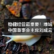 稳健经营最重要!绿城中国董事会主席刘成云谈企业发展丨对话20(图3) 稳健经营最重要!绿城中国董事会主席刘成云谈企业发展丨对话20(图3)