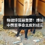 稳健经营最重要!绿城中国董事会主席刘成云谈企业发展丨对话20(图4) 稳健经营最重要!绿城中国董事会主席刘成云谈企业发展丨对话20(图4)