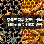 稳健经营最重要!绿城中国董事会主席刘成云谈企业发展丨对话20(图1) 稳健经营最重要!绿城中国董事会主席刘成云谈企业发展丨对话20(图1)