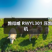 路得威 RWYL301 压路机(图3) 路得威 RWYL301 压路机(图3)