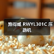 路得威 RWYL301C 压路机（图3）