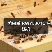 路得威 RWYL301C 压路机（图1）