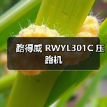 路得威 RWYL301C 压路机（图4）