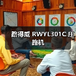 路得威 RWYL301C 压路机（图2）