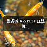 路得威 RWYL31 压路机（图3）