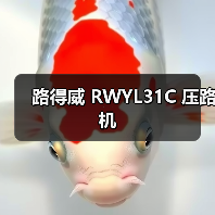 路得威 RWYL31C 压路机(图1) 路得威 RWYL31C 压路机(图1)