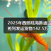 2025年西部陆海新通道班列发运货物142.5万标箱 同比增(图3) 2025年西部陆海新通道班列发运货物142.5万标箱 同比增(图3)