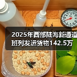 2025年西部陆海新通道班列发运货物142.5万标箱 同比增(图2) 2025年西部陆海新通道班列发运货物142.5万标箱 同比增(图2)