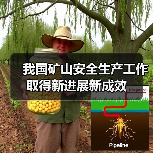 我国矿山安全生产工作取得新进展新成效（图1）