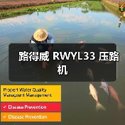 路得威 RWYL33 压路机(图3) 路得威 RWYL33 压路机(图3)