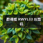 路得威 RWYL33 压路机(图4) 路得威 RWYL33 压路机(图4)