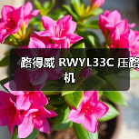 路得威 RWYL33C 压路机(图3) 路得威 RWYL33C 压路机(图3)